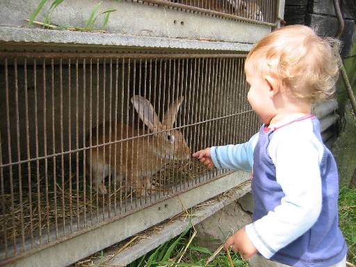 Kerian 57 J'en profite pour soigner les lapins !